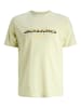 JACK & JONES PLUS T-shirt in Celadon Tint