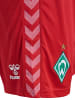 Hummel Hummel Kurze Hose Wer 23/24 Fußball Erwachsene Schnelltrocknend in TRUE RED