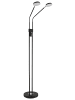 Globo lighting Stehleuchte "SILVIO" in black