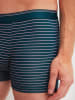 Calida New Boxer, 3er-Pack in lilas