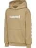 Hummel Kapuzenpullover Hmljr Logo Lebensstil Mädchen in CORNSTALK