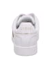 Guess Sneaker Low in Beige