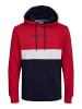 Jack & Jones Sweatshirt JJEREID BLOCKING in Mehrfarbig