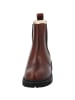 Palado Chelsea Boots Alicudi in Braun Glanz