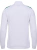 Hummel Halbreißverschluss Sweatshirt Asse 23/24 Fußball Herren in BRIGHT WHITE