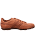 LLOYD Lowtop-Sneaker in NOCE