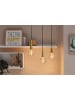 paulmann Inner Glow Edition LED Globe Arc