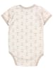 TupTam Jungen Baby Body Kurzarm 5er Pack in beige/weiß