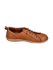 Andrea Conti Sneaker Low 0344578-062 in braun