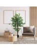 HOMCOM Künstliche Ficus-Pflanze in Hellgrün 15L x 15B x 150H cm