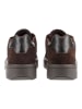Steve Madden Sneaker FYNNER Chocolate