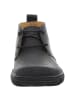 El Naturalista Stiefeletten in schwarz