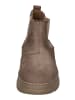 natural world Chelsea Boots PEONIA  7182 in natur