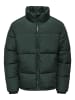 ONLY & SONS Daunenjacke in Darkest Spruce 1
