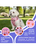 Reichstadt Hundegeschirr M in Puppy Parade Pink
