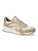 Allrounder Schnürschuh in creme