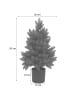 MCW Weihnachtsbaum R29