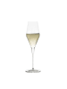 Stölzle 6er Set Champagnergläser Quatrophil 290 ml transparent in transparent