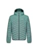 Salewa Daunenjacke in grün