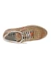 Cetti Sneaker low C-848 EXP V25 in Braun