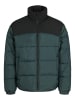 Jack & Jones Steppjacke in Magical Forest