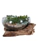 ebuy24 Waterdrop San Marino Teak 26 x 26 cm