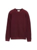 Tom Tailor Pullover in dunkelrot