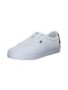 Tommy Hilfiger Schnürschuhe in white/space blue