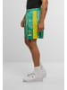 Carlo Colucci Carlo Colucci SOCCER SHORTS COLOR BLOCK in green/yellow