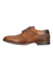 Bullboxer Businessschuhe in Cognac