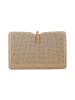 usha BLACK LABEL Women Clutch in Gold
