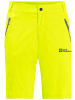 Jack Wolfskin Funktionsshorts GLASTAL SHORTS M in Gelb