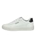 Napapijri Sneaker in Weiß/Schwarz