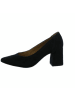 Paul Green Modische Pumps für Damen in schwarz