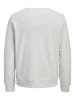 JACK & JONES Junior Casual Sweatshirt Rundhals JJDEVIN in white melange