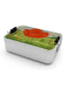 Mr. & Mrs. Panda Bento Box Blume Mohnblume Design ohne Spruch in Weiß