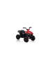 Wisam® S601 – Elektrische Fahrt auf dem Quad