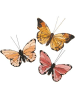 Rico Design Nonbook - Schmetterling,Apricottöne, 3 Stück