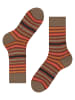 Falke Socken Tinted Stripe in Port royal