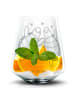 Mr. & Mrs. Panda Whiskeyglas Schildkröten Paar ohne Spruch in Transparent