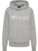 Hummel Hoodie in Grau