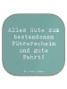 Mr. & Mrs. Panda Untersetzer Glas Spruch Erste Erfahrungen im St... in Meeresbrise