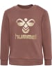 Hummel Druckknopf Sweat Anzug Hmlarine Lebensstil Kinder in NUTMEG