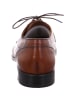 LLOYD Business Schuhe für Herren in braun