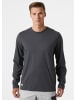 Helly Hansen Longsleeve "Classic Longsleeve" in Grau