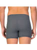 ZD ZERO DEFECTS Boxershort in Grau