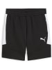 Puma Sporthose "TeamEVOSTRIPE Shorts" in Schwarz