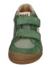 KOEL Sneaker Low KOBI W II  in grün