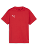 Puma T-Shirt "TeamGoal Jersey Jr" in Rot