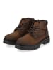 Tom Tailor Stiefelette in Whisky